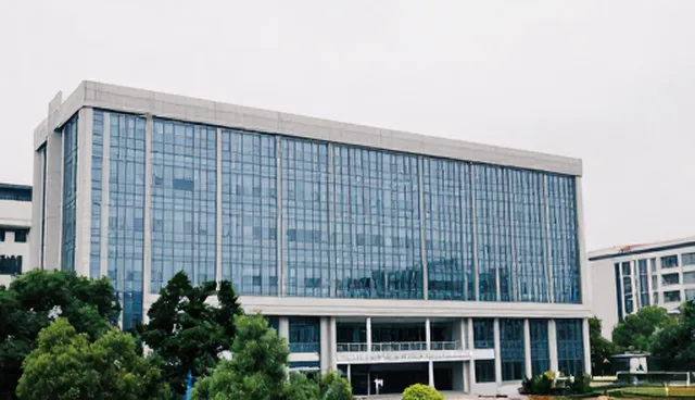 求职信提示词如何影响AI视频优化结果